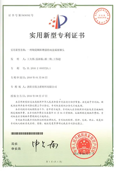 Chinese utility model patent: bimetal-base hammer head reinforced with ceramic particles, ZL 2016 2 0005720.1